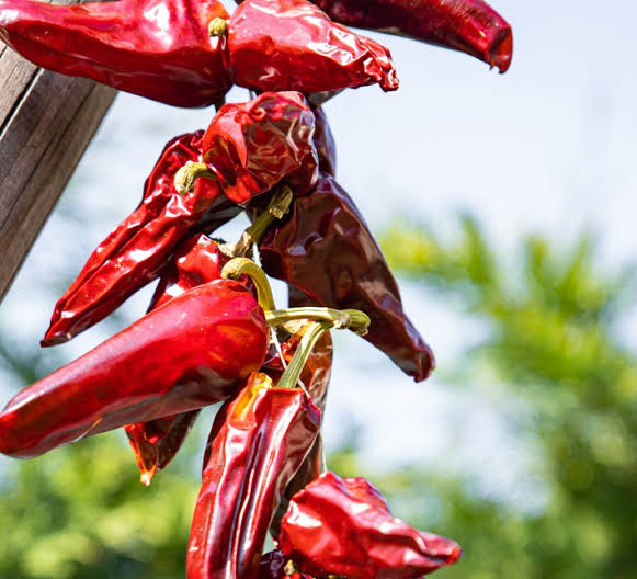 PIMENT SEC (SOUBRE)