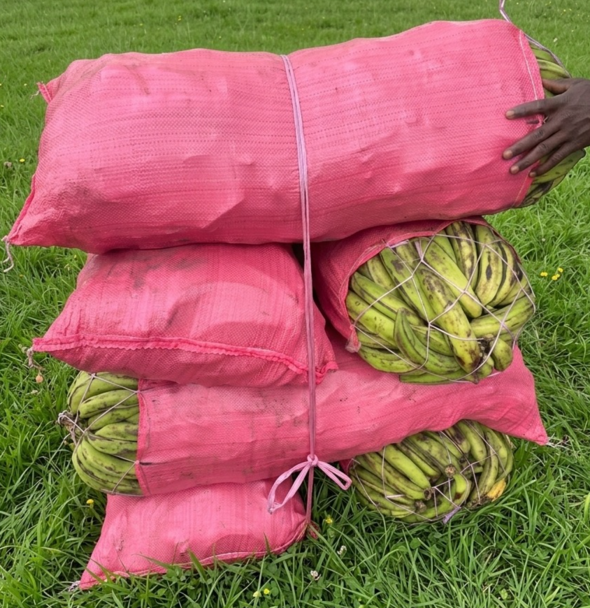 SAC DE BANANE PLANTAIN IVOGRAIN (SOUBRE)